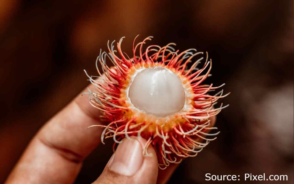 15 Rarest Fruits in The World