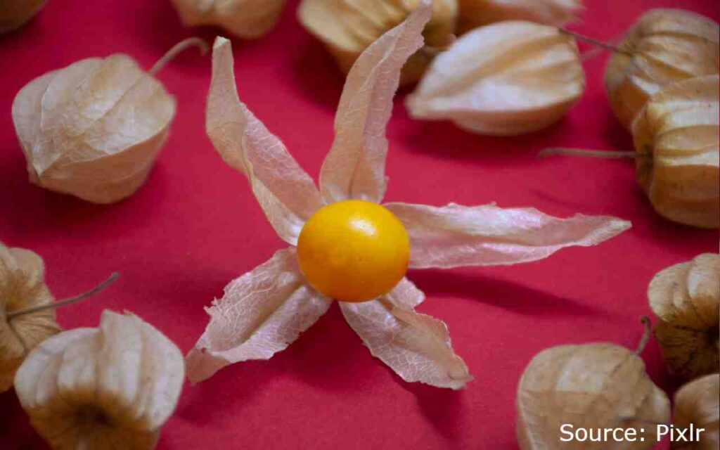 15 Rarest Fruits in The World