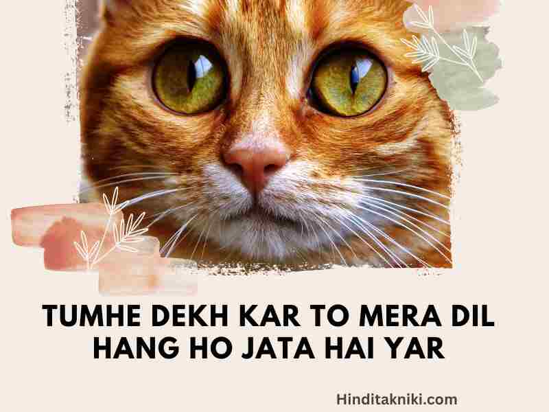 62+ Best You And I Pick Up Lines In Hindi: Romantic, Love, Cute