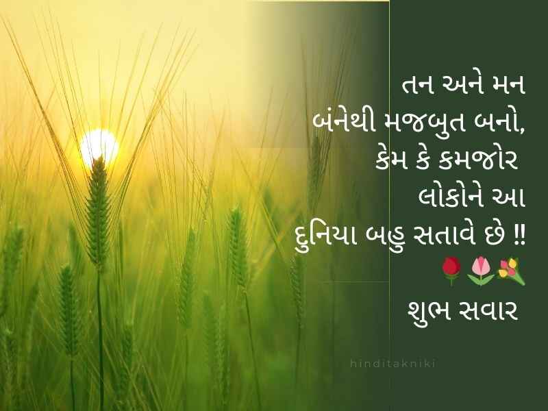 610+ ગુડ મોર્નિંગ શાયરી સંદેશ ગુજરાતી Good Morning Wishes in Gujarati Text | Shayari | Quotes