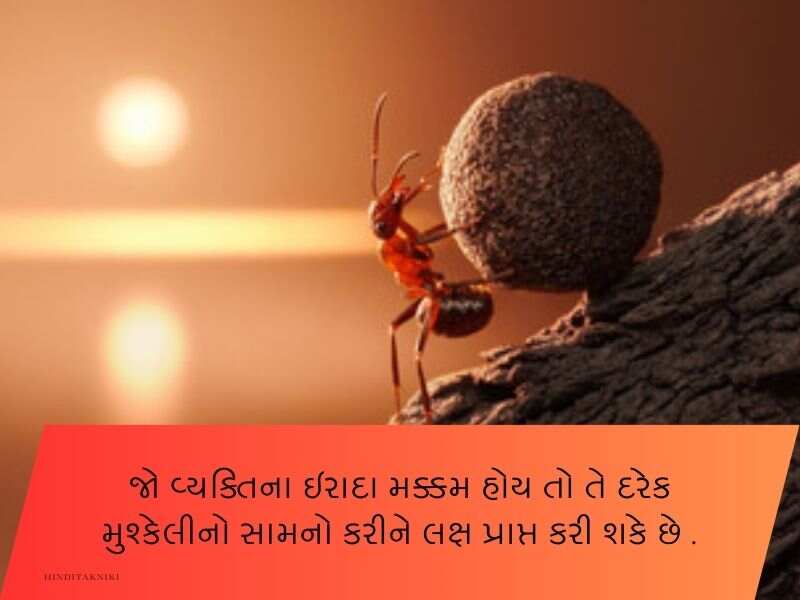 150+ સખત મહેનત સુવિચાર ગુજરાતી Hard Work Quotes in Gujarati