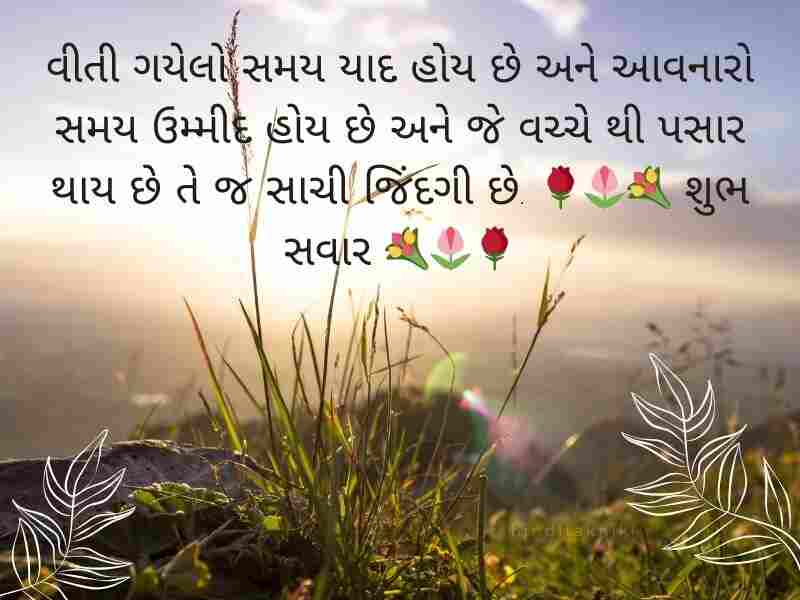 610+ ગુડ મોર્નિંગ શાયરી સંદેશ ગુજરાતી Good Morning Wishes in Gujarati Text | Shayari | Quotes