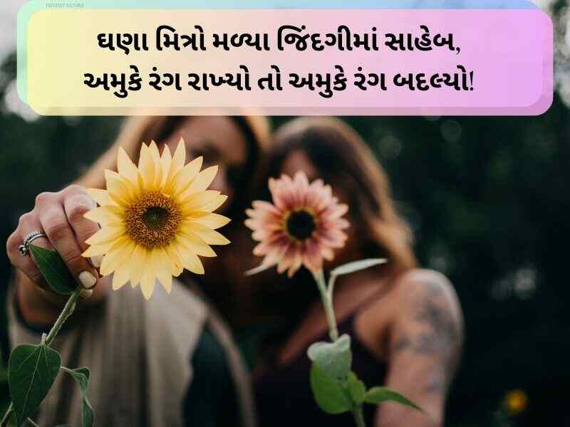 340+ દોસ્તી ક્વોટ્સ ગુજરાતી Friendship Quotes in Gujarati Text | Shayari | Wishes