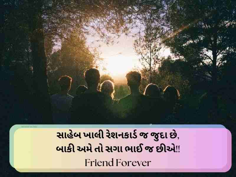340+ દોસ્તી ક્વોટ્સ ગુજરાતી Friendship Quotes in Gujarati Text | Shayari | Wishes